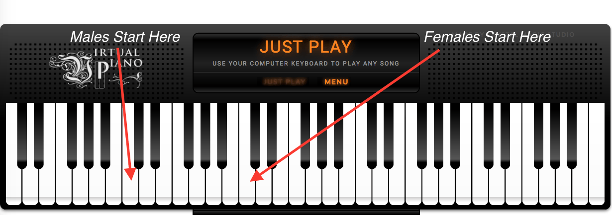 newiwtharrowsvirtualpiano